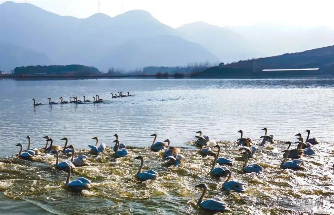 海口湖风光