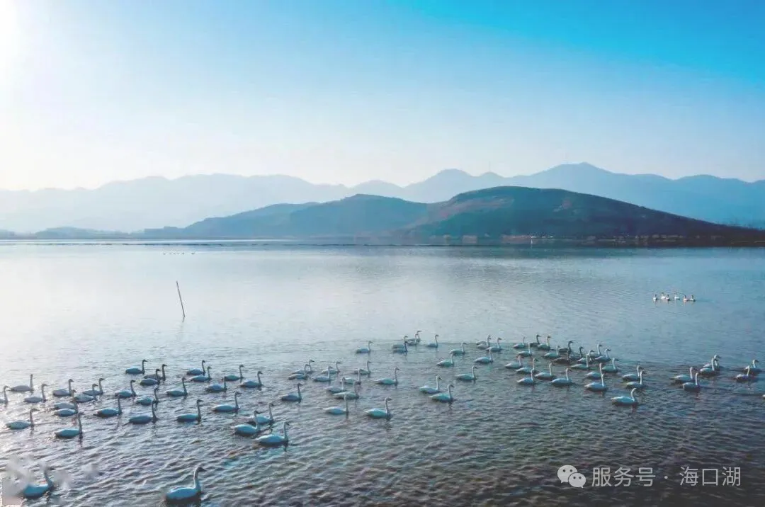 海口湖生态图
